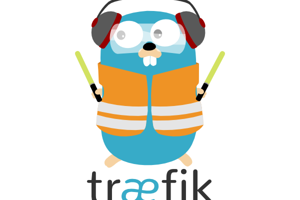 Traefik Configuration for DDEV
